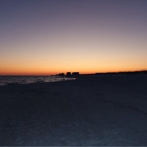 Meet your Posher, Liz